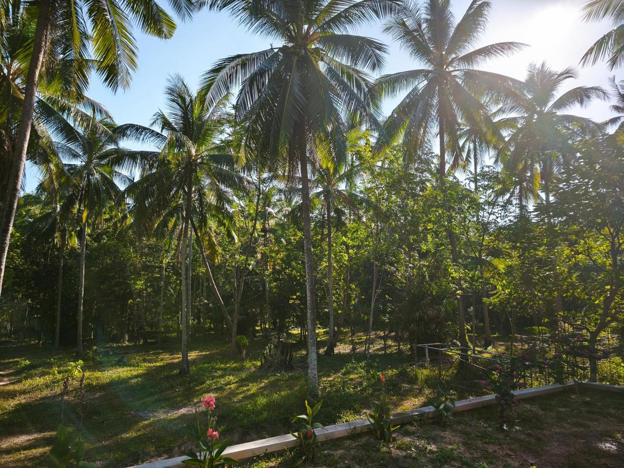 The Secret Garden Homestay Koh Yao Yai Ko Yao Kültér fotó