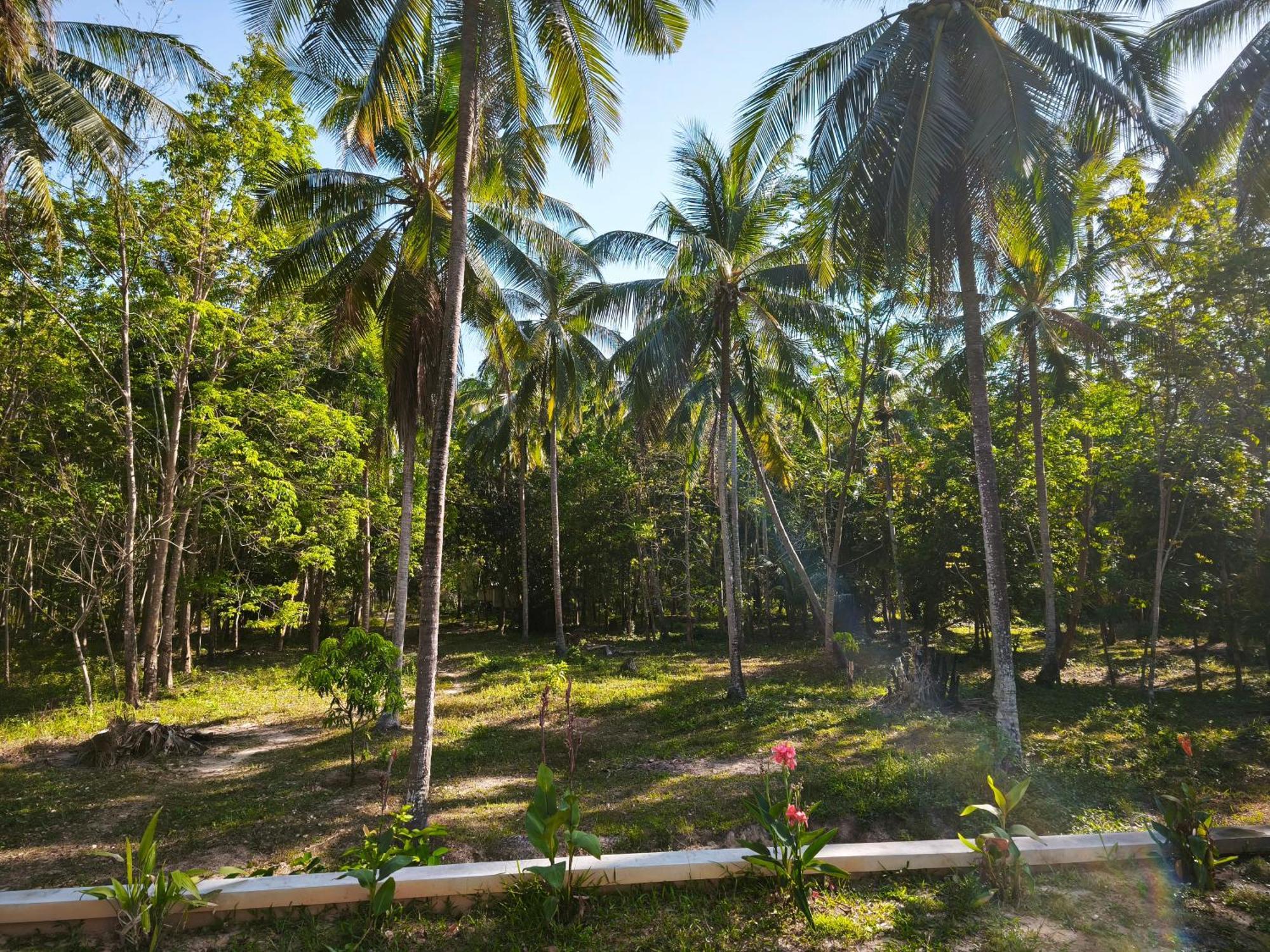 The Secret Garden Homestay Koh Yao Yai Ko Yao Kültér fotó