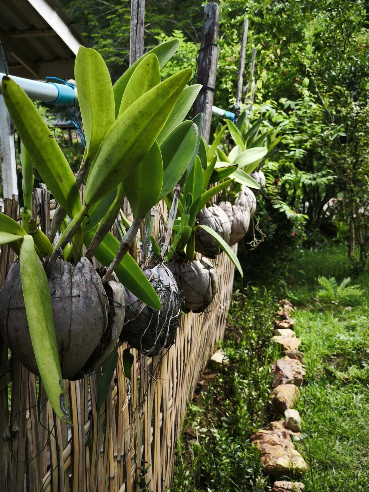 The Secret Garden Homestay Koh Yao Yai Ko Yao Kültér fotó